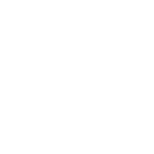 System Expertise